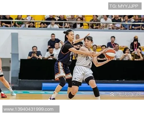 武汉排球队的成长历程：从默默无闻到辉煌荣耀的奋斗故事