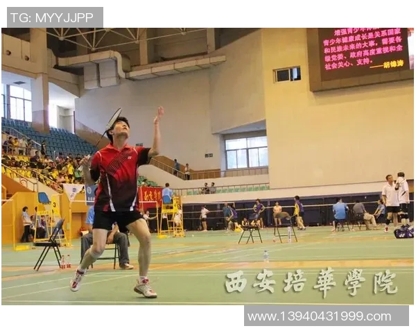 西安羽毛球队个人能力分析与发展策略探讨